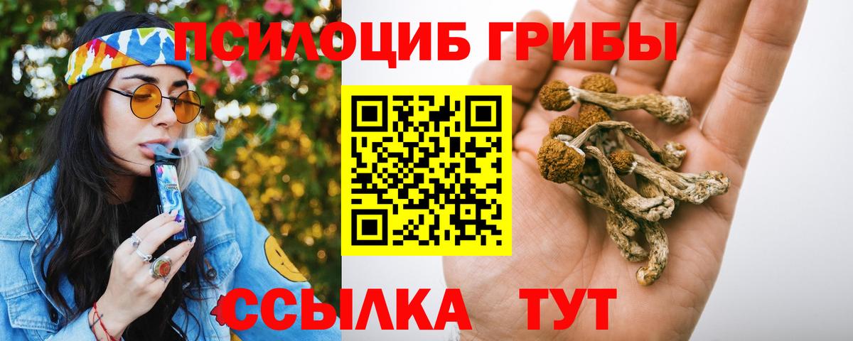 Галлюциногенные грибы Cubensis Усть-Илимск